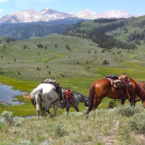 Montana