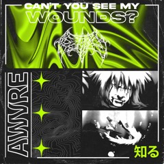 [FREE DL] can't you see my wounds? (feat. R7U)