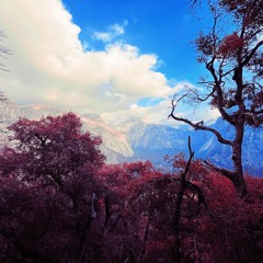 Footwork got them shoegazing W/ Erik++ 140424