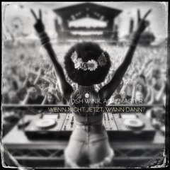 wenn nicht jetzt, wann dann?! wink the acid master(vocal edit)