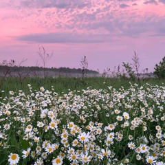 #RIGHTNOW  [milwaukee flow] (rareXcetti)