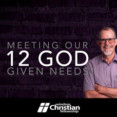 Meeting Our 12 God Given Needs | Tim Fletcher