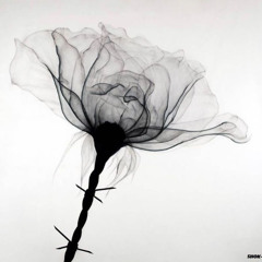 flores negras (prod. keepitsaint)