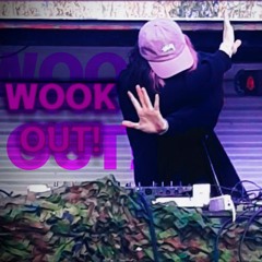 Wook Out! - Tech...ish House