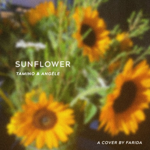 Sunflower - Tamino & Angèle (cover)
