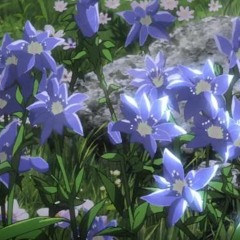 Attack On Titan - Vogel Im Käfig - 進撃の巨人 (Violin Cover)