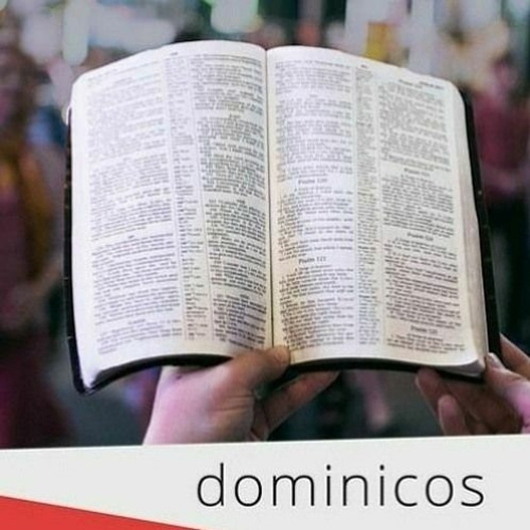 Stream Domingo 29 JUN 2025 - Comentario al Evangelio de hoy by ...
