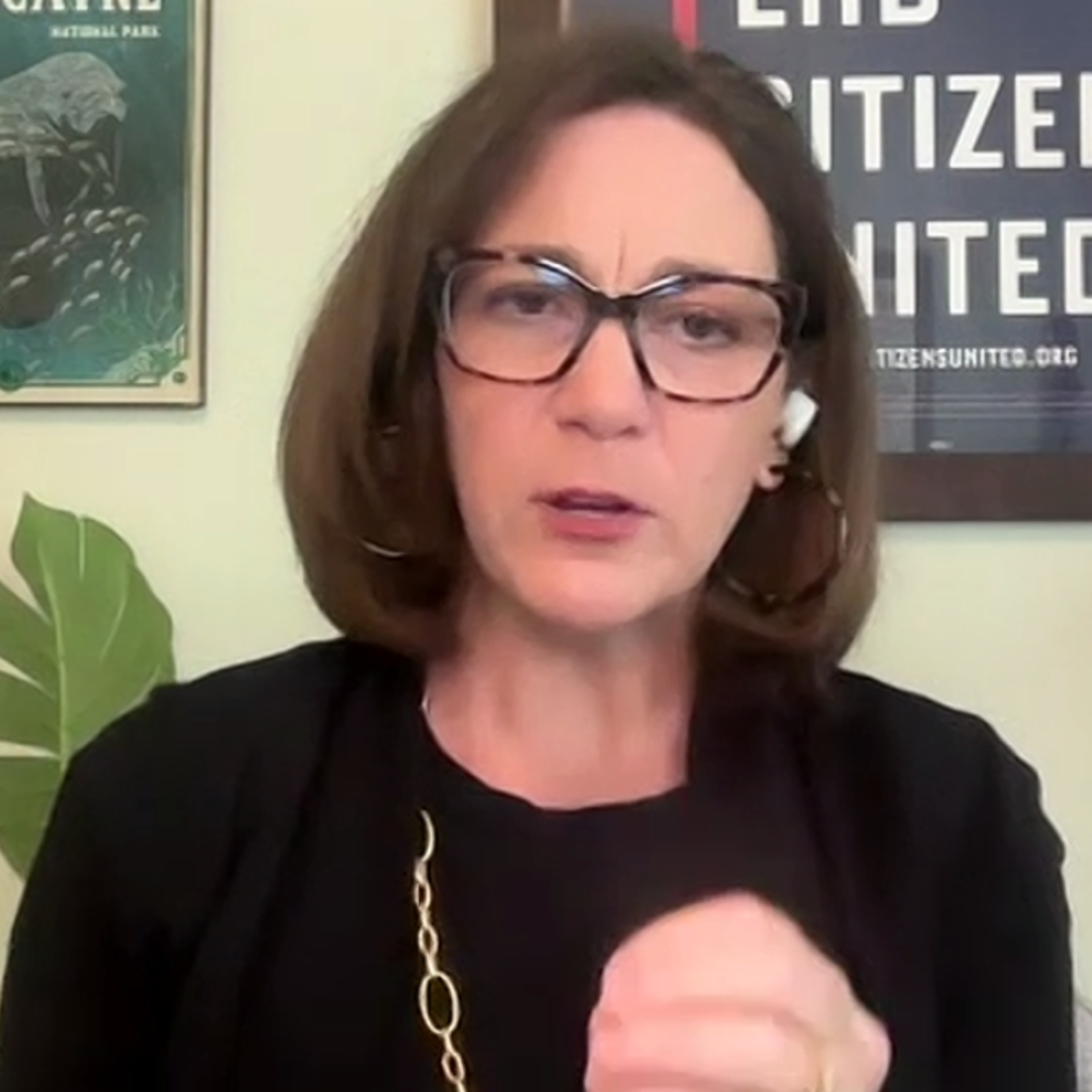 End Citizens United president breaks down how federal campaign finance case could affect midterms episode artwork