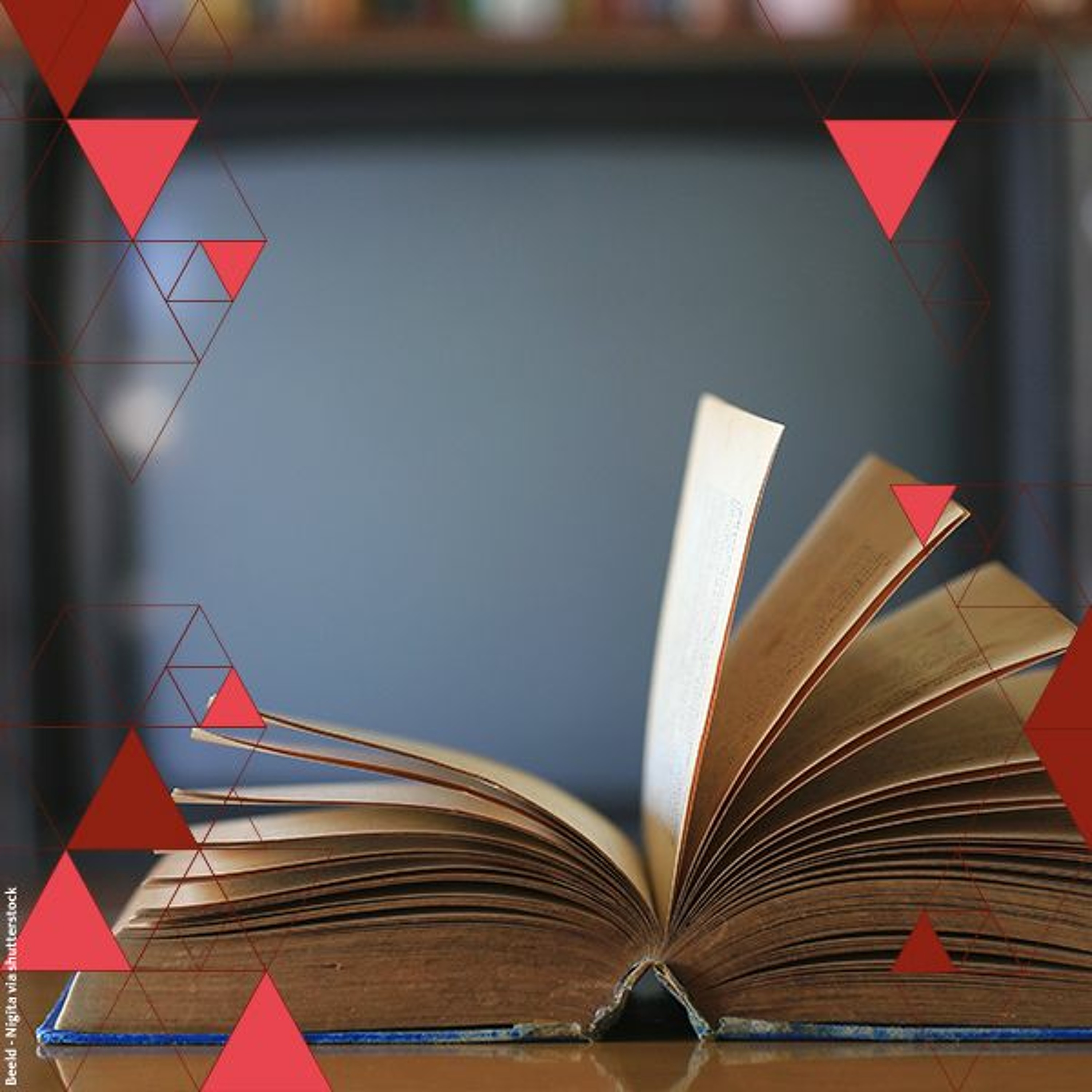 Boek of Netflix. Wat maakt empathischer? | Jeroen Dera en Serena Daalmans episode artwork