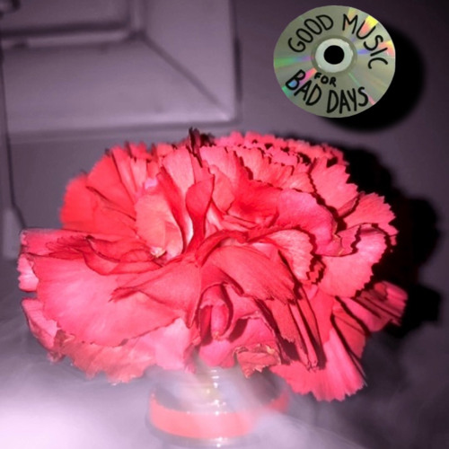 FirstClassJay✈️ - CHECK THE VIEWS