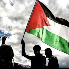 Palestinian Diaspora: How are Palestinians Abroad affected by the Recent Conflicts?