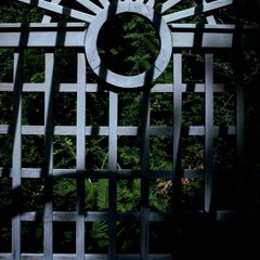 Neon Void- Silhouettes