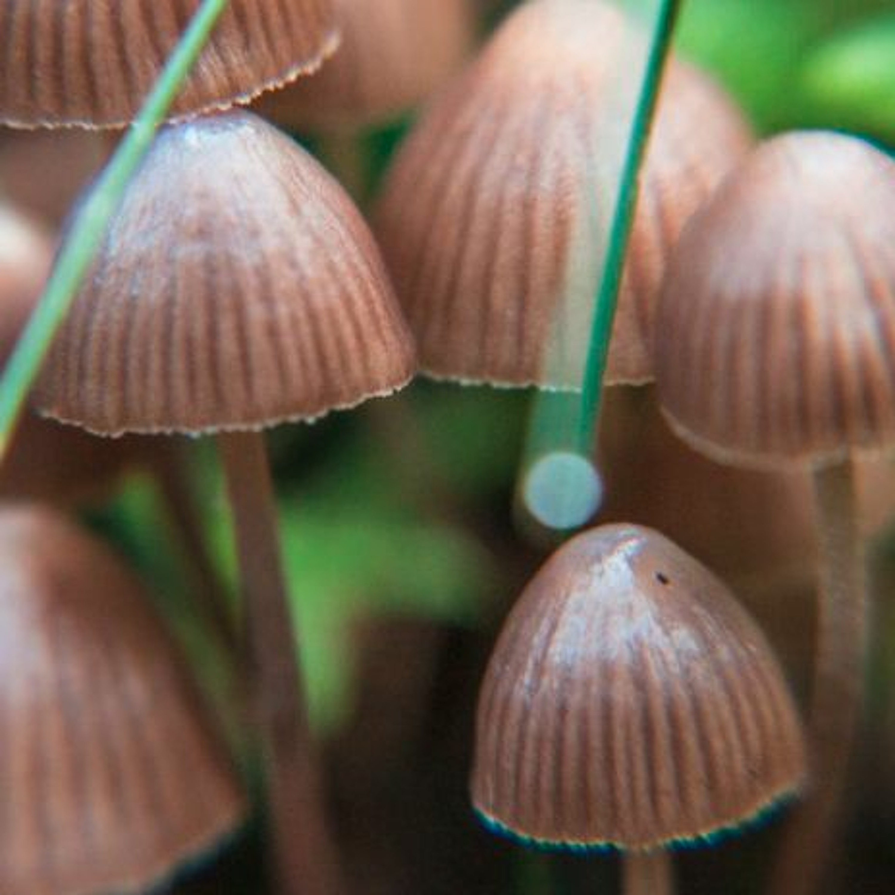 Astronomie - En route vers les etoiles