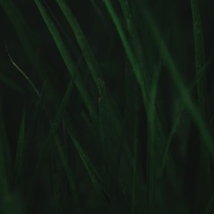 $w_ng