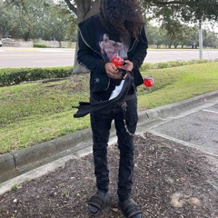 stunt no bih