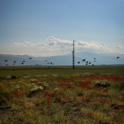 Serap Sönmez - Ronahî Bêrîvan