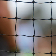 _Cricket_Nets_Availability_Dubai_