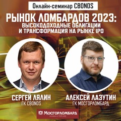 Рынок ломбардов 2023. ВДО и трансформация на рынке IPO