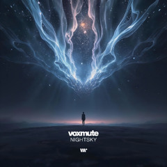 FLOW223: voxmute - Nightsky