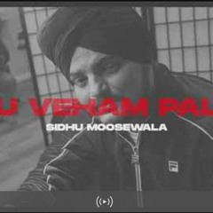 Ni tu veham paleya sidhu moosewala