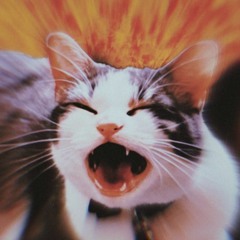 No Love for Bass (Original Mix)