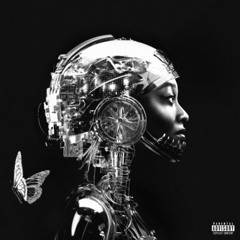 Little Simz - Torch [Shilla Remix] (DL by Wade and Steve Angello)