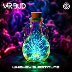Mr. Bud - Whiskey Substitute (OUT NOW ON BANDCAMP)