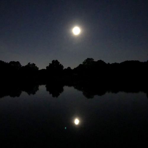 S40: Short Cuts: Into the Night 1/6
