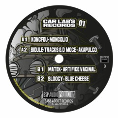 Artifice Vaginal pour "car labs 01"