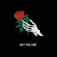 Not The One (prod. by patchface x DQE x thislandis)