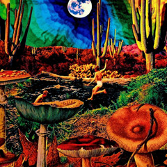 Newton - Acid juice