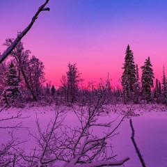 Alaska ▪︎ ( prod.@flowrency)