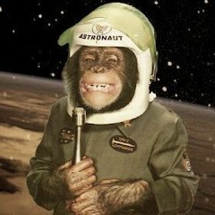 Monkey Space