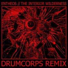 Entheos "The Interior Wilderness (Drumcorps Remix)"