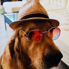 Trixx - Miami Nights (feat. EL A$AD)