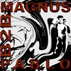 MAGNUS B2B PABLO