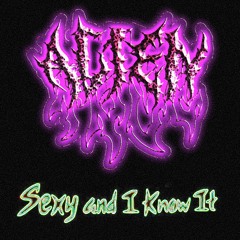 Sexy and I know it (Rave-A-Holics Mix)