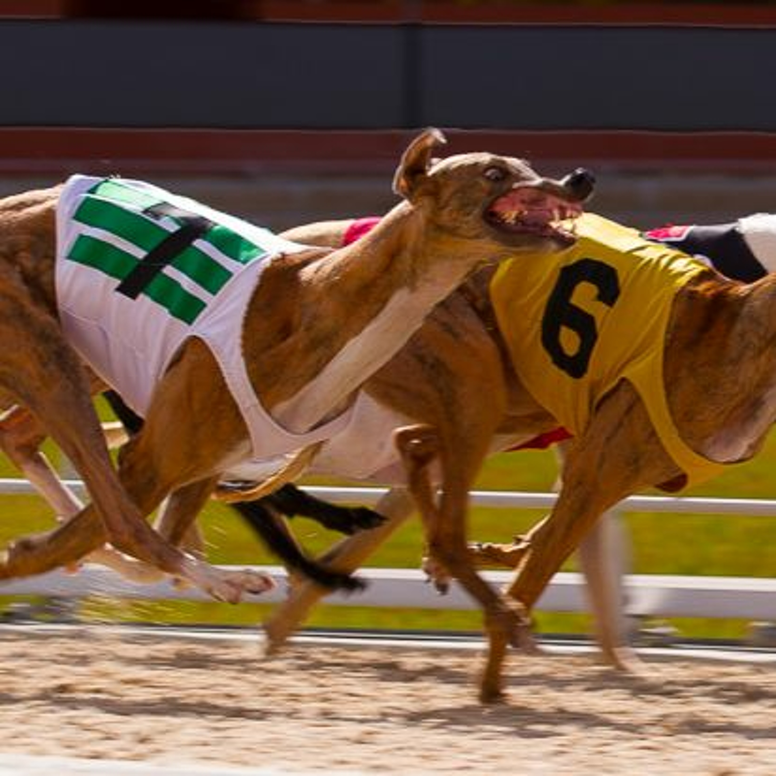 Camera Modes – What’s the Best One to Use?