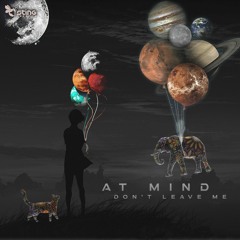 At Mind - Don't Leave Me (STRDW183 - Sting Records)