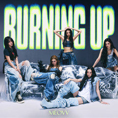 Burning Up Remix