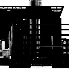 MORTEN, David Guetta (feat. Fedde LeGrand) - Night In CHICAGO (GUZ Remix)