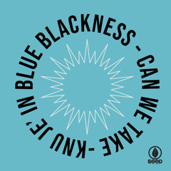 Kru Je' IN BLUEBLACKNESS - Can We Take (ORIGINAL MIX)