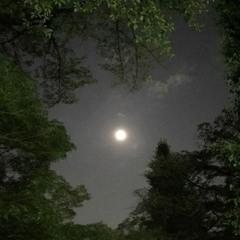 Fall Ft Ki (prod Micheal Warren)