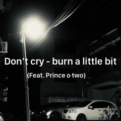 Don't Cry - burn a little bit(feat.prince o two)