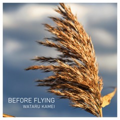 Before Flying