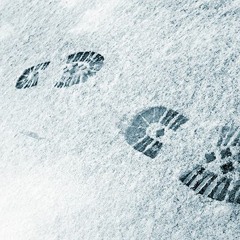 Tus Huellas En La Nieve   (Zeus feat Ashesndreams)