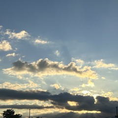 🦋🪼☁️🪷🪐🌨️