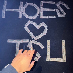 Ya Dig (feat.WHODFISHUNCHO)(prod.blantwrud x vetix1k)