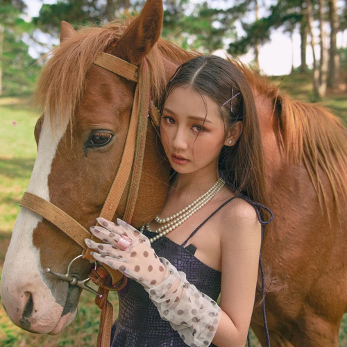 Anh Nhà Ở Đâu Thế -AMEE-Bray(speed up)