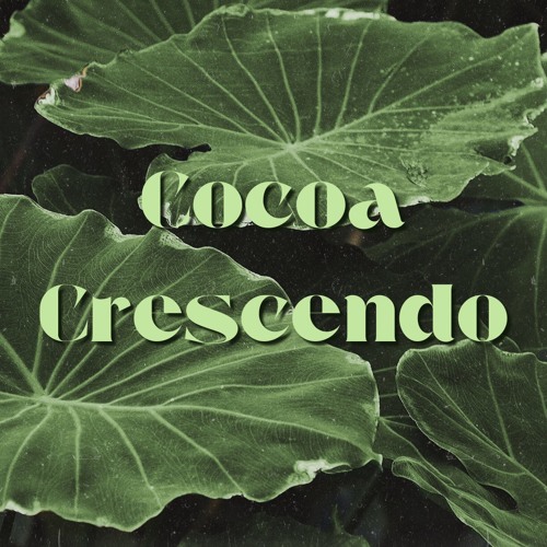 Cocoa Crescendo @ lower grand radio